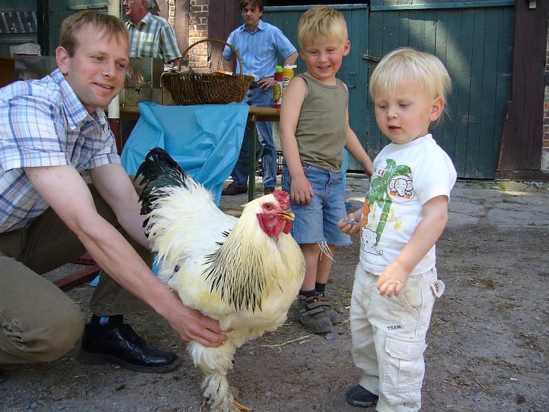 Haehnewettkraehen der Kreisjugend des Kreisverbandes Guetersloh 050.jpg - Hähnewettkrähen des Kreisverbandes Gütersloh in Langenberg auf dem Hofe Großelohmann